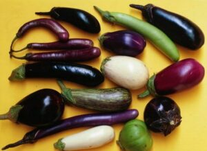 aubergine