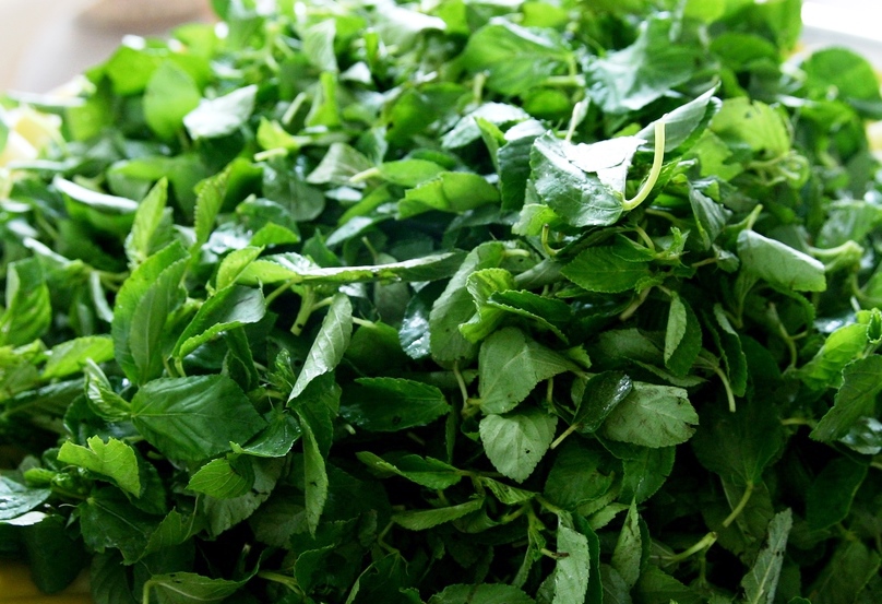 Adémé frais déjà arrangé – Image 4