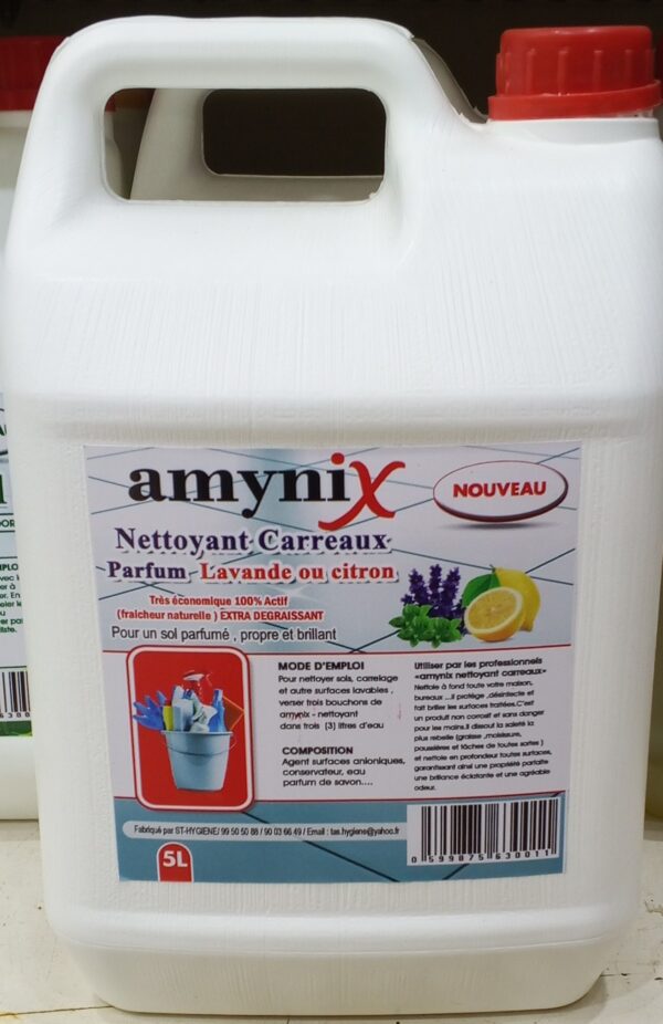 NETTOYANT CARREAUX AMYNIX NOUVEAU 5L