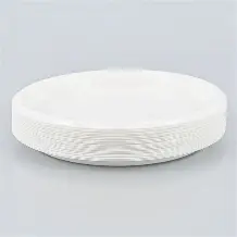 ASSIETTES REUTILISABLES GRAND