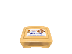 SAVON DAY BY DAY 200G