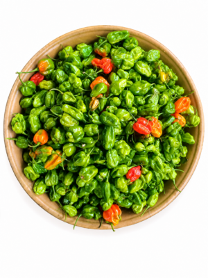 PIMENT VERT